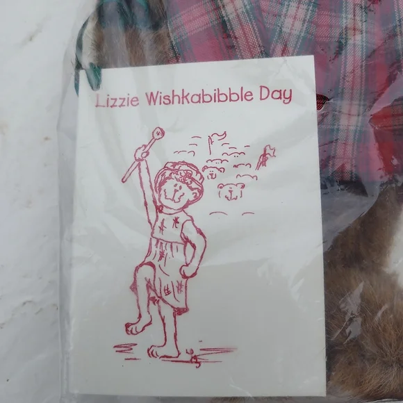 Boyds Bear Lizzie Wishkabibble Day NWT And Small Story Book- sealed original bag - Picture 5 of 5
